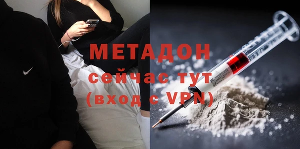 прущие грибы Арсеньев