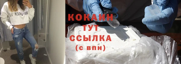 прущие грибы Арсеньев