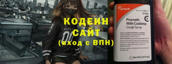 прущие грибы Арсеньев