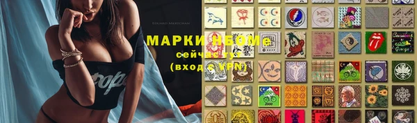 прущие грибы Арсеньев