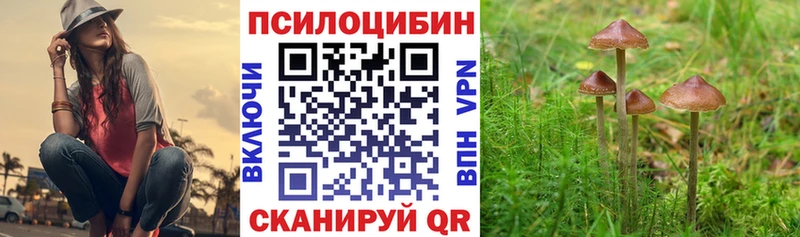 Псилоцибиновые грибы MAGIC MUSHROOMS  сайты даркнета Telegram  Демидов 